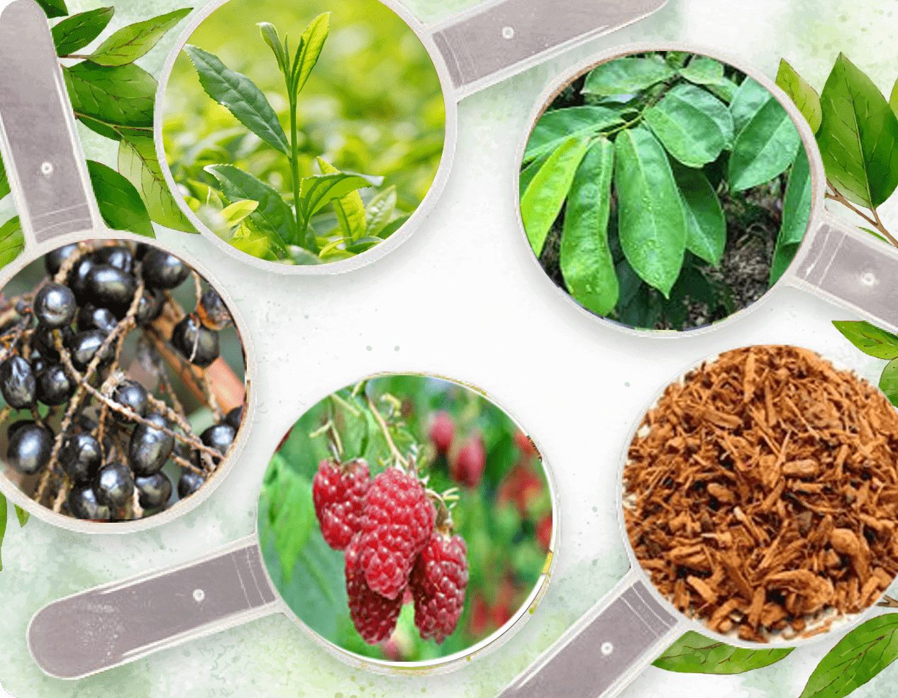 prosta peak ingredients